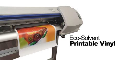 Can I Print on Vinyl with an Inkjet Printer? Discussion on Various Views