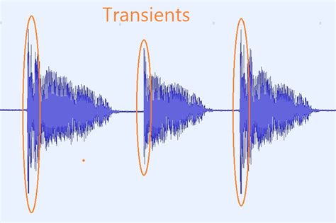 what is a transient in music transient moments of sound intensity can reveal the character of a musical instrument