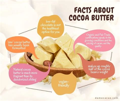 What is the chemical composition of cocoa butter, and how does it influence the texture of a chocolate bar?