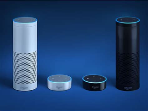 why won't alexa play music, and the enigmatic journey into troubleshooting smart speaker woes